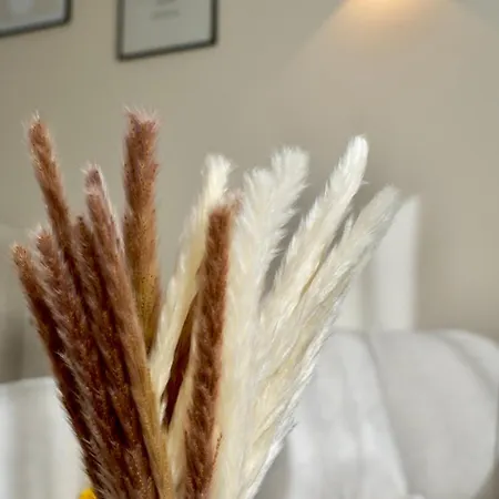 Zentral & Modern Naehe Duesseldorf Und Koeln Apartmán