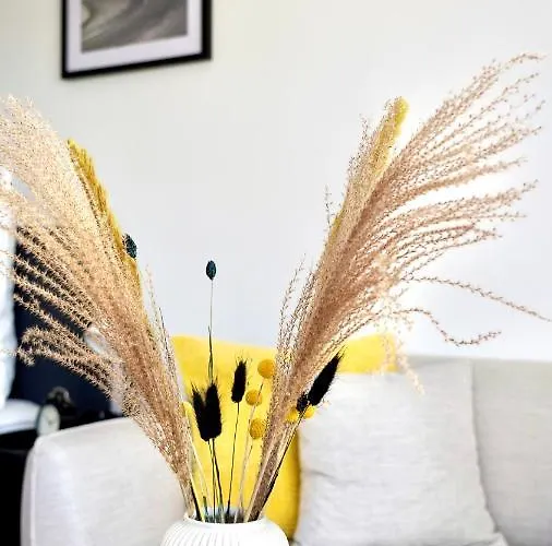 Zentral & Modern Naehe Duesseldorf Und Koeln Wuppertal