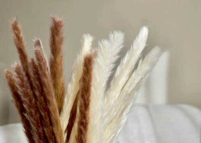 Zentral & Modern Naehe Duesseldorf Und Koeln Daire